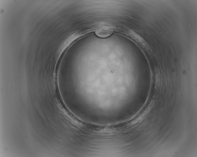 X0000069811178200605191038