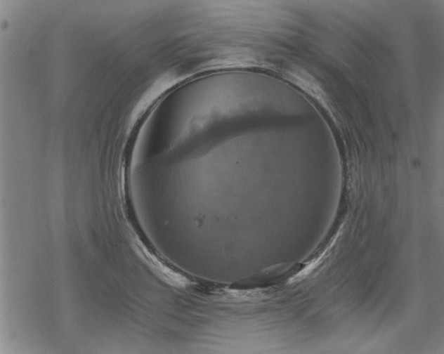 X0000069811179200605191038