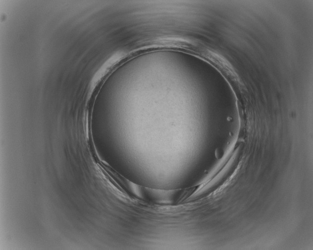 X0000069811180200605191038