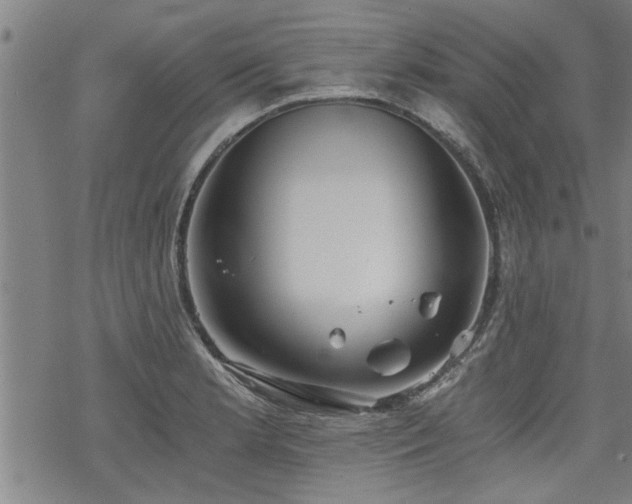 X0000069811181200605191038