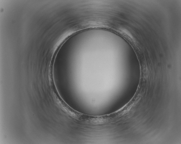 X0000069811182200605191038