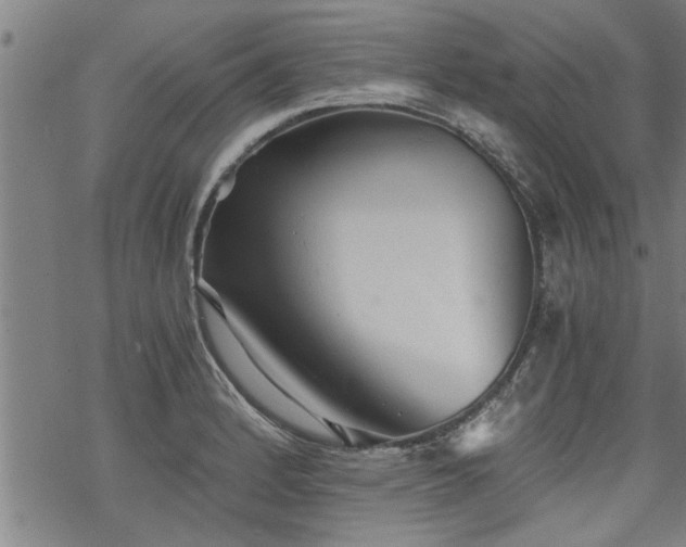 X0000069811184200605191038