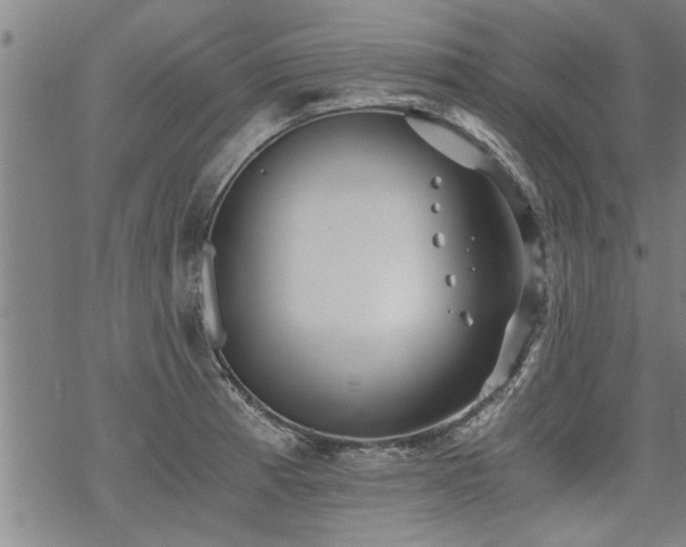 X0000069811185200605191038