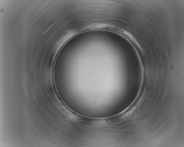 X0000069811186200605191038