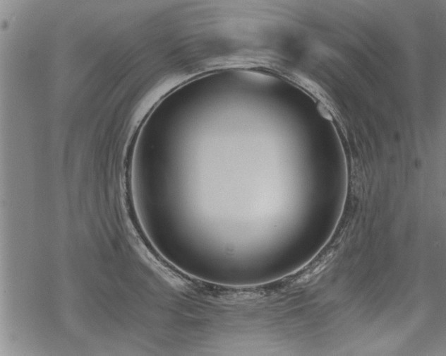 X0000069811187200605191038