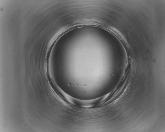 X0000069811188200605191038