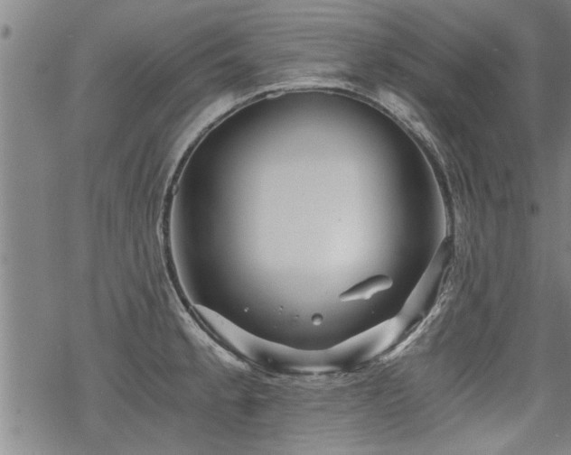 X0000069811189200605191038