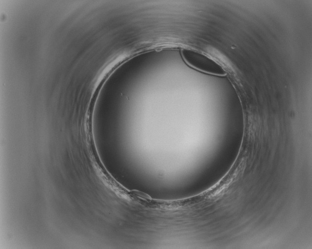 X0000069811190200605191038