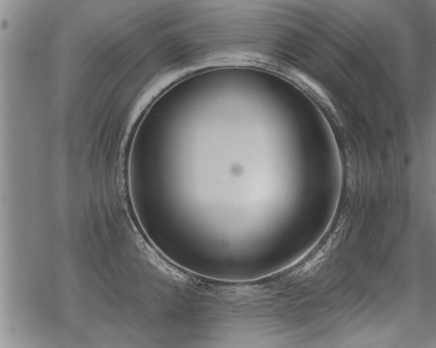 X0000069811192200605191038