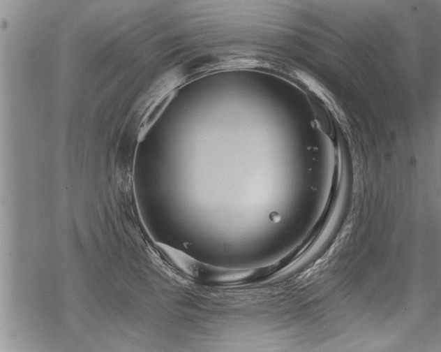 X0000069811193200605191038