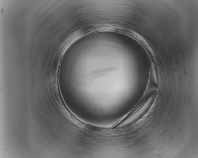 X0000069811194200605191038