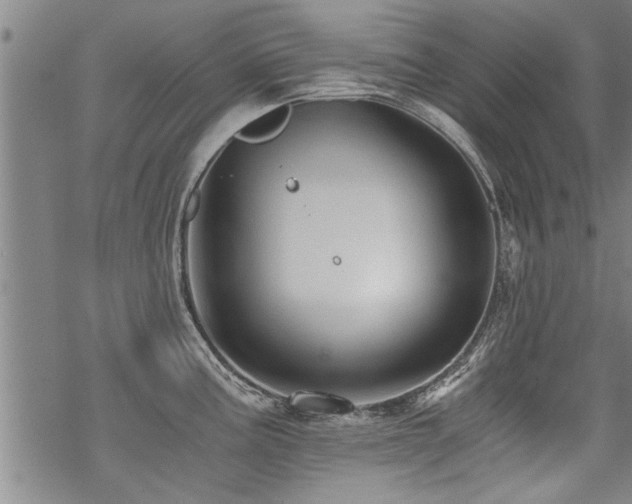 X0000069811195200605191038