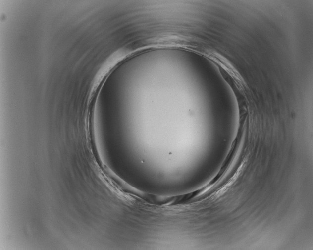 X0000069811196200605191038