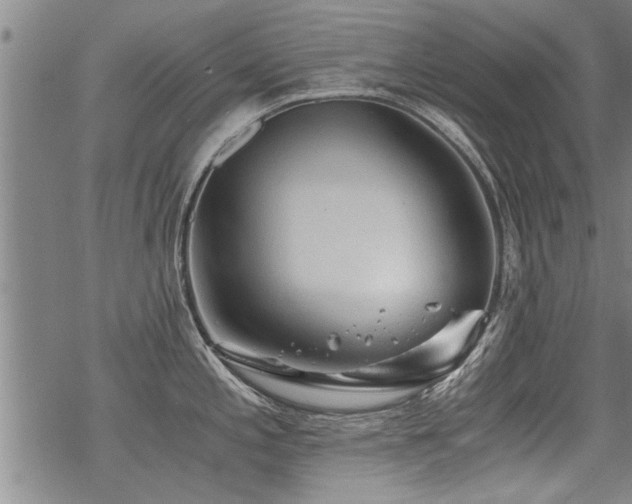 X0000069811197200605191038