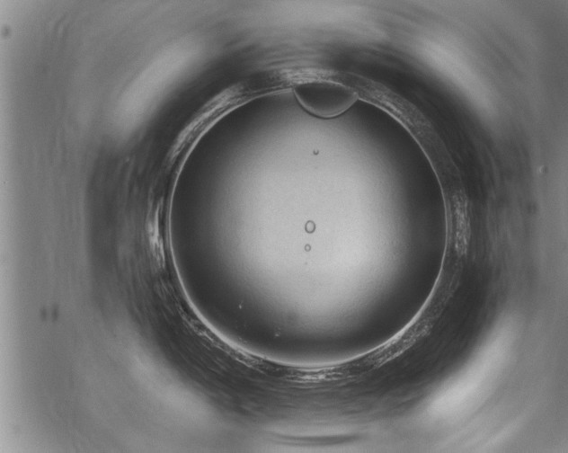 X0000069811198200605191038