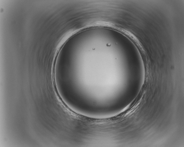 X0000069811199200605191038