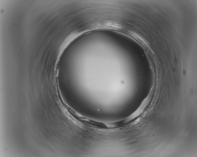 X0000069811200200605191038