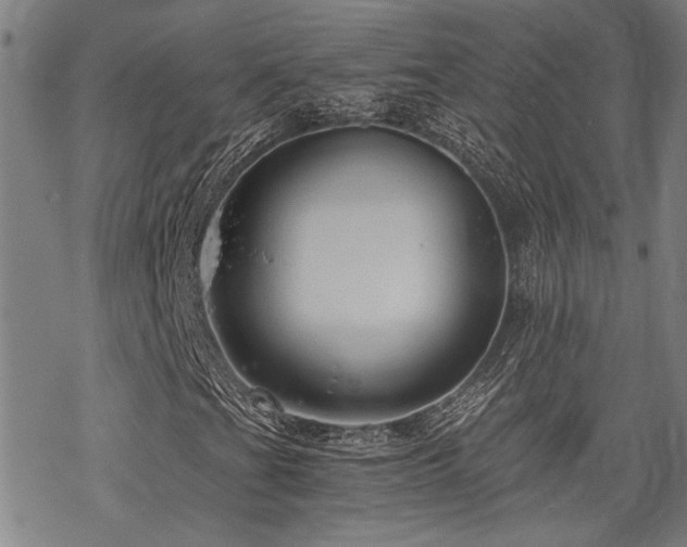 X0000069811201200605191037