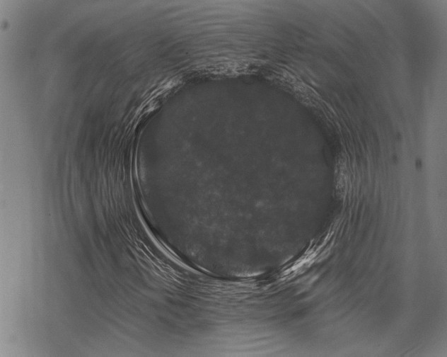 X0000069811202200605191037