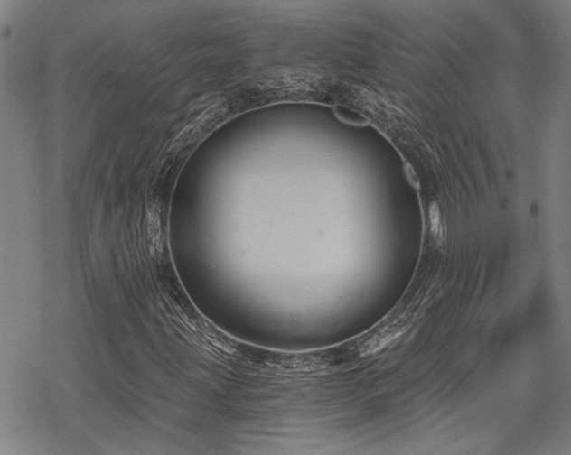 X0000069811203200605191037