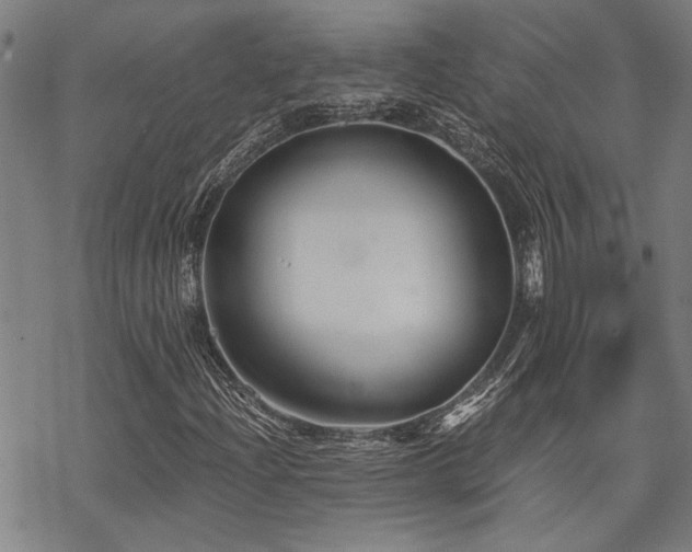 X0000069811204200605191037