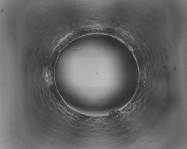 X0000069811205200605191037