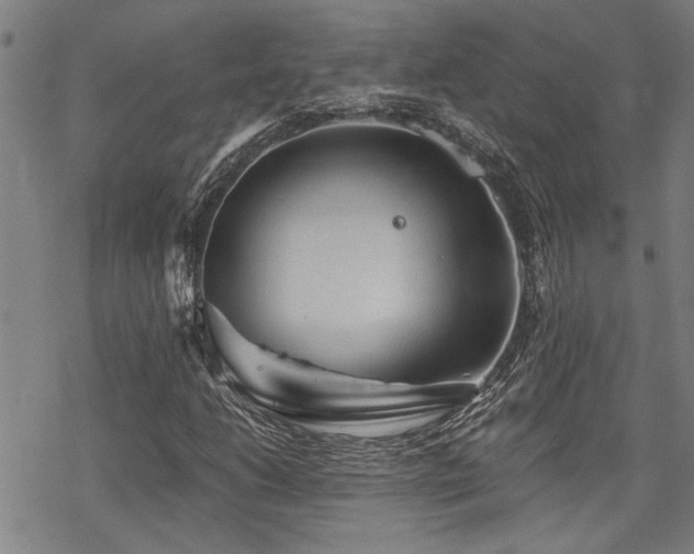 X0000069811206200605191037