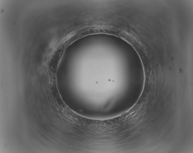 X0000069811207200605191037