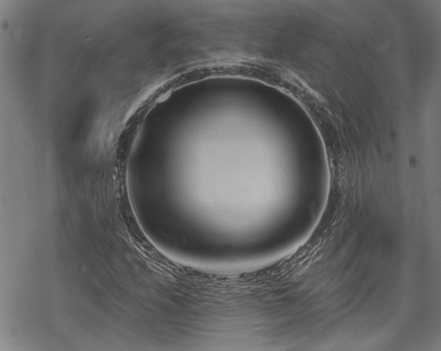 X0000069811208200605191037