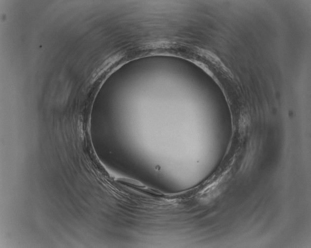 X0000069811209200605191037