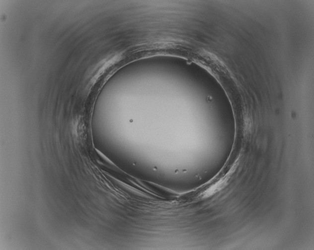 X0000069811210200605191037