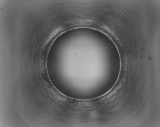 X0000069811211200605191037