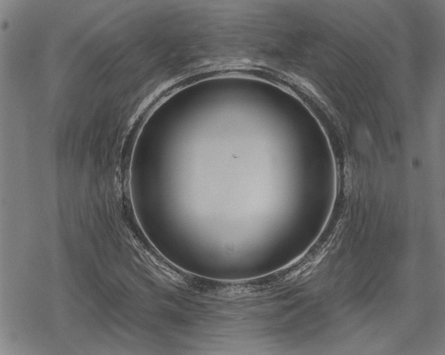 X0000069811212200605191037