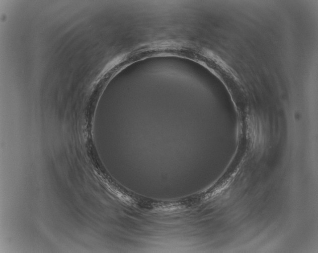 X0000069811213200605191037