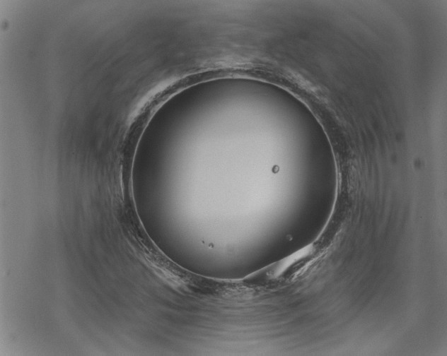 X0000069811214200605191037