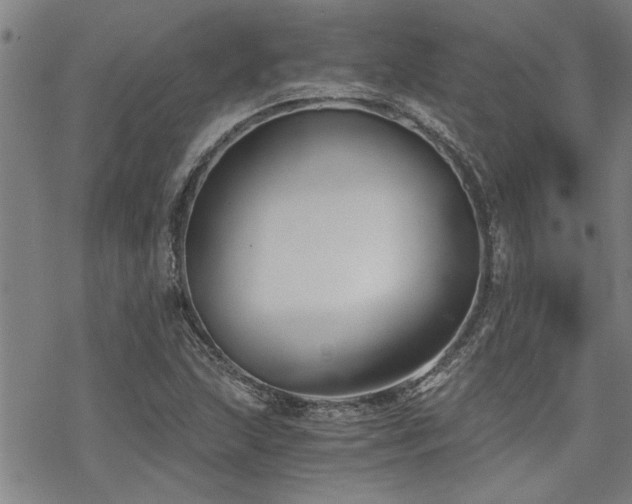 X0000069811215200605191037