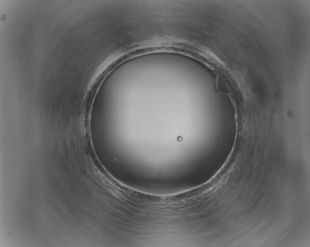 X0000069811216200605191037