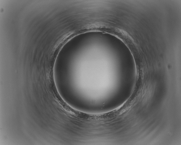 X0000069811217200605191037