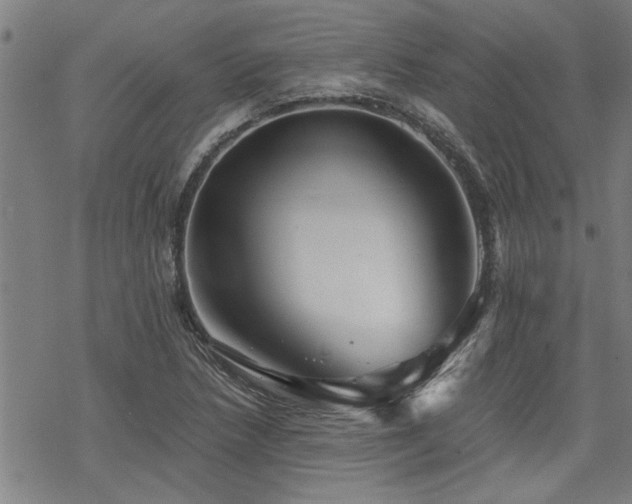 X0000069811218200605191037