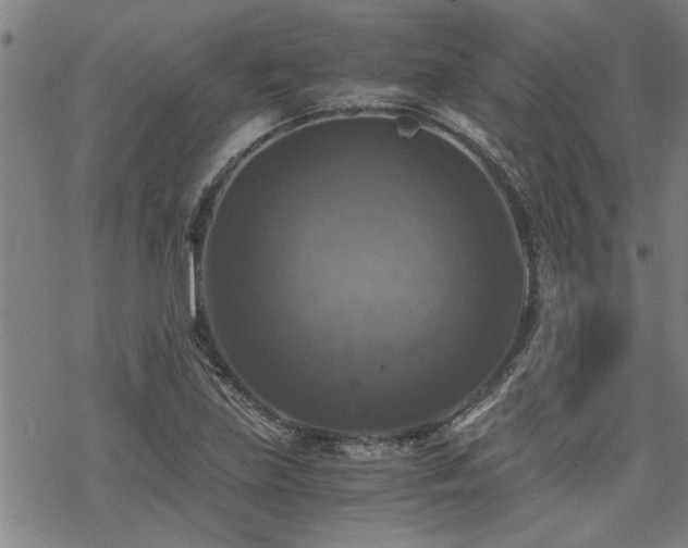 X0000069811219200605191037