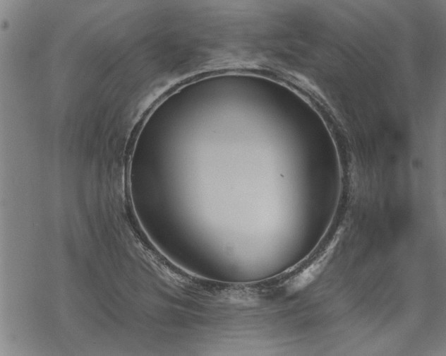 X0000069811220200605191037