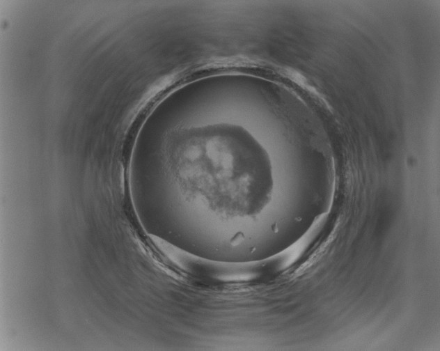 X0000069811221200605191037