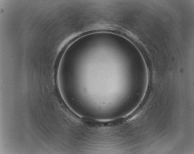 X0000069811222200605191037