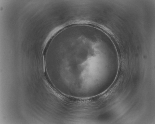 X0000069811223200605191037