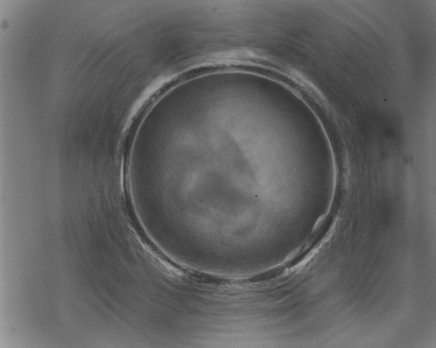 X0000069811224200605191037