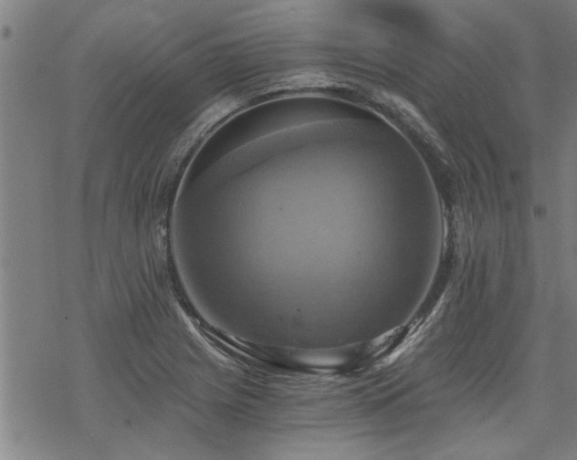 X0000069811225200605191037