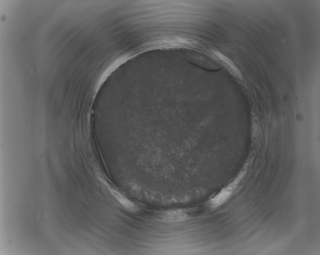 X0000069811226200605191037