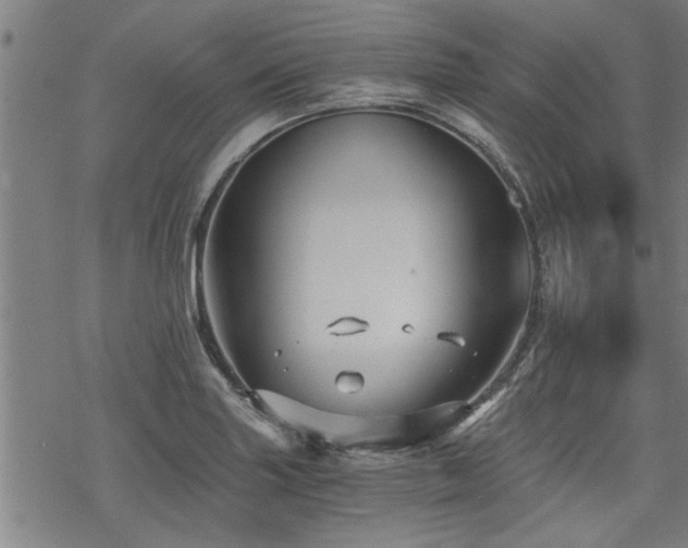 X0000069811227200605191037