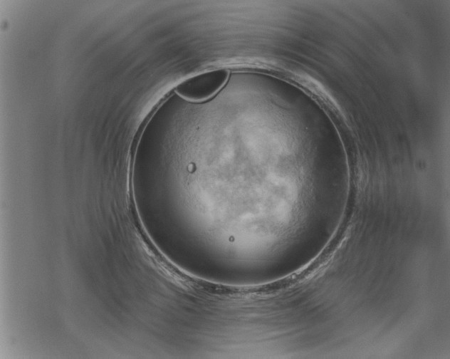 X0000069811228200605191037