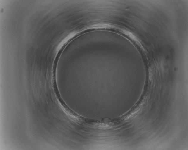 X0000069811229200605191037